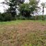  Land for sale in Toabre, Penonome, Toabre