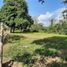  Land for sale in Toabre, Penonome, Toabre