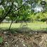  Land for sale in Kerobokan, Bali, Kerobokan
