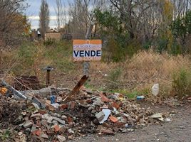  Terreno (Parcela) en venta en Rio Negro, General Roca, Rio Negro