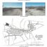  Land for sale in Doctor Gonzalez, Nuevo Leon, Doctor Gonzalez
