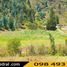  Land for sale in Canar, Solano, Deleg, Canar