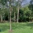  Land for sale in San Jeronimo, Antioquia, San Jeronimo