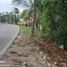  Land for rent in Panglao, Central Visayas, Panglao, Bohol, Central Visayas