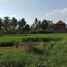  Tanah for sale in Gianyar, Bali, Ubud, Gianyar