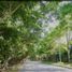  Land for sale in Merida, Yucatan, Merida, Yucatan