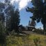  Terreno (Parcela) en venta en Navidad, Cardenal Caro, Navidad