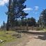  Terreno (Parcela) en venta en Navidad, Cardenal Caro, Navidad