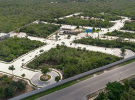 Terrain à vendre à Conkal, Yucatan, Conkal