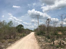  Grundstück zu verkaufen in Uman, Yucatan, Uman