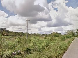  Land for sale in Tixkokob, Yucatan, Tixkokob, Yucatan