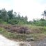  Land for sale in Kerambitan, Tabanan, Kerambitan