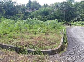  Land for sale in Kerambitan, Tabanan, Kerambitan