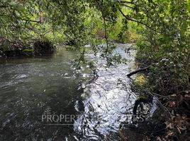  Land for sale in Chile, Villarrica, Cautin, Araucania, Chile