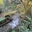  Land for sale in Chile, Villarrica, Cautin, Araucania, Chile
