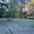  Land for sale in Chile, Villarrica, Cautin, Araucania, Chile