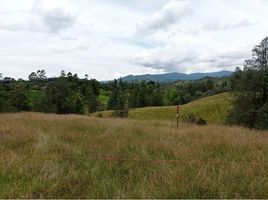 Grundstück zu verkaufen in Retiro, Antioquia, Retiro, Antioquia, Kolumbien