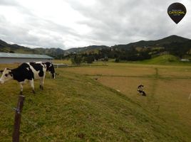  Terreno (Parcela) en venta en Azuay, Tarqui, Cuenca, Azuay