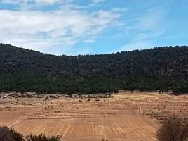  Terrain for sale in Coahuila, Arteaga, Coahuila