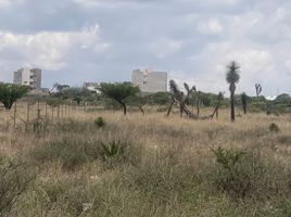  Land for sale in Mexquitic De Carmona, San Luis Potosi, Mexquitic De Carmona, San Luis Potosi