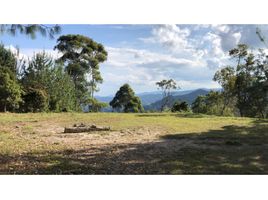  Grundstück zu verkaufen in Retiro, Antioquia, Retiro