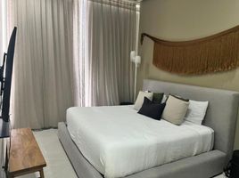  Hotel en alquiler en México, Compostela, Nayarit, México