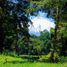  Land for sale in Cautin Araucania, Villarrica, Cautin, Araucania