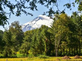  Land for sale in Cautin Araucania, Villarrica, Cautin, Araucania