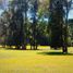  Land for sale in Cautin Araucania, Villarrica, Cautin, Araucania