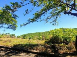  Grundstück zu verkaufen in Cebu, Central Visayas, Consolacion