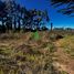  Land for sale in Chile, Mariquina, Valdivia, Los Rios, Chile