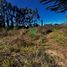  Land for sale in Chile, Mariquina, Valdivia, Los Rios, Chile