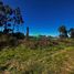  Land for sale in Chile, Mariquina, Valdivia, Los Rios, Chile