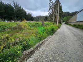  Land for sale in Chile, Mariquina, Valdivia, Los Rios, Chile