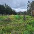  Land for sale in Chile, Mariquina, Valdivia, Los Rios, Chile