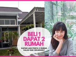 2 Bedroom House for sale in Lamongan, East Jawa, Sekaran, Lamongan