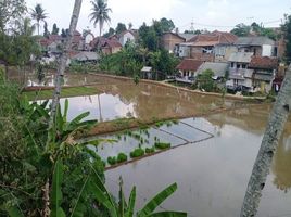  Tanah for sale in Sukabumi, West Jawa, Sukabumi, Sukabumi