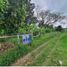  Land for sale in Nacajuca, Tabasco, Nacajuca