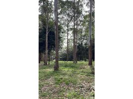 Terrain à vendre à Rionegro, Antioquia, Rionegro, Antioquia