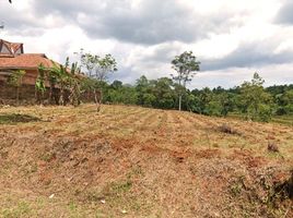  Land for sale in Bogor, West Jawa, Cariu, Bogor