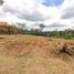  Land for sale in Bogor, West Jawa, Cariu, Bogor