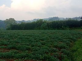  Tanah for sale in Bogor, West Jawa, Cisarua, Bogor