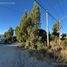  Land for sale in Rio Negro, Bariloche, Rio Negro