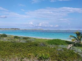  Terreno (Parcela) en venta en Othon P Blanco, Quintana Roo, Othon P Blanco