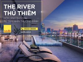 4 Schlafzimmer Wohnung zu verkaufen im The River Thu Thiem, An Khanh