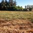  Terreno (Parcela) en venta en Cordillera, Santiago, Pirque, Cordillera