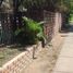  Land for sale in Chile, San Jode De Maipo, Cordillera, Santiago, Chile