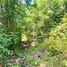  Land for sale in Chile, Villarrica, Cautin, Araucania, Chile