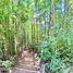  Land for sale in Chile, Villarrica, Cautin, Araucania, Chile