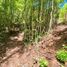 Land for sale in Chile, Villarrica, Cautin, Araucania, Chile